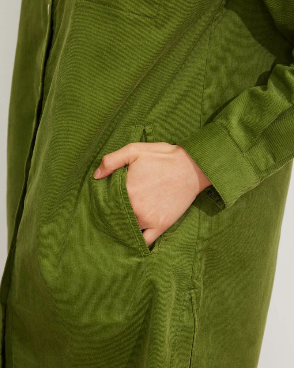 Golden Bearシャツチュニック | ゴールデンベアストア