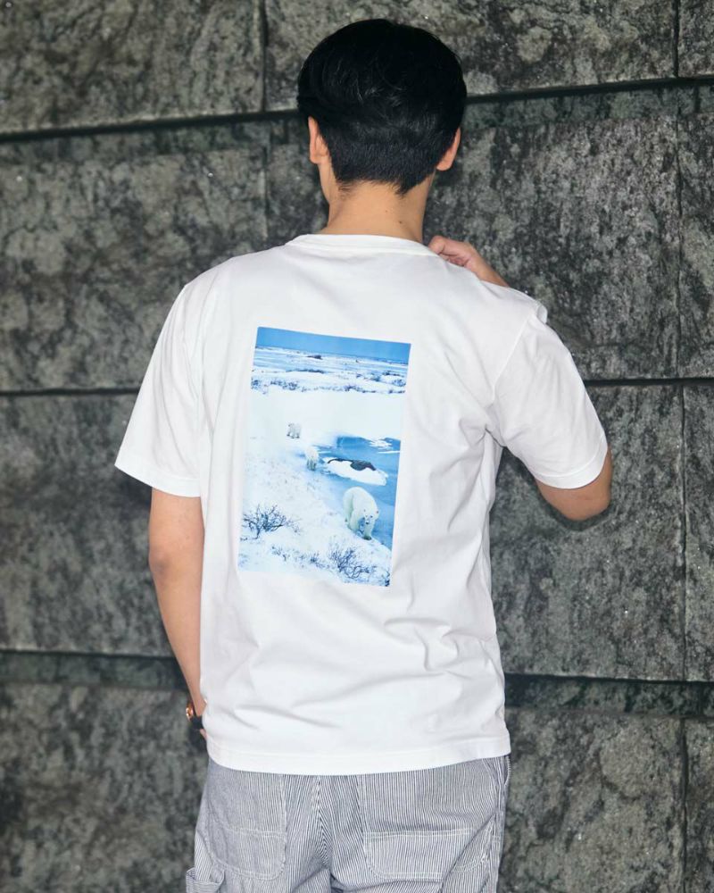 シロクマＴシャツ