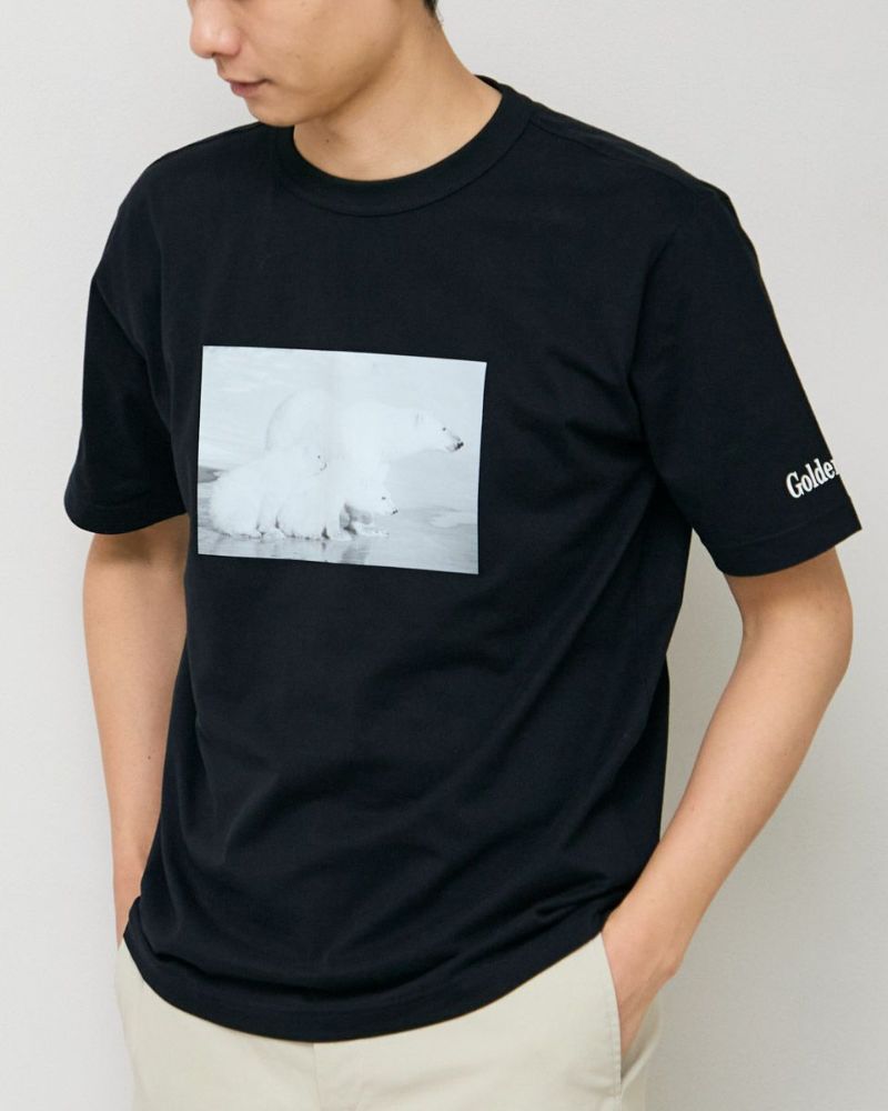 Golden BearシロクマTシャツ / コラボレーション | ゴールデン