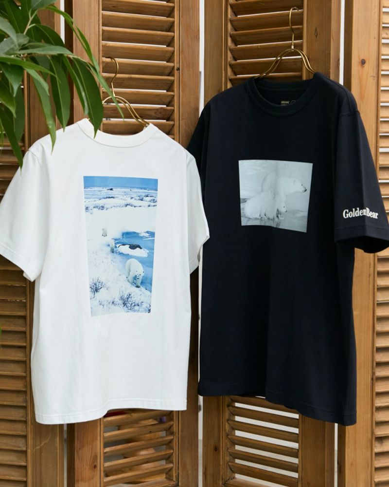 ゴールデンベア