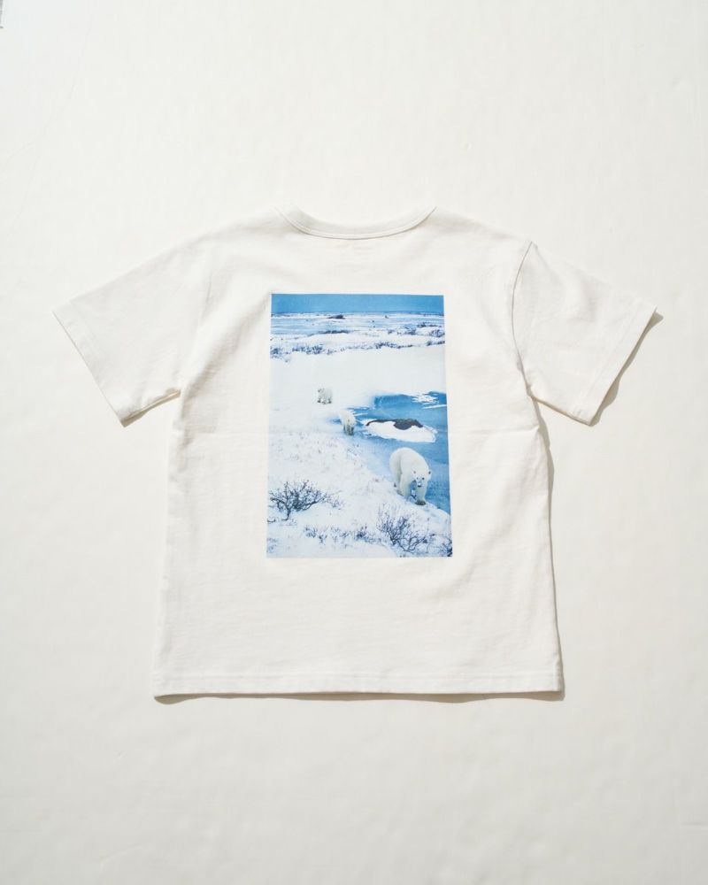 シロクマTシャツ