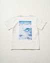 シロクマTシャツ