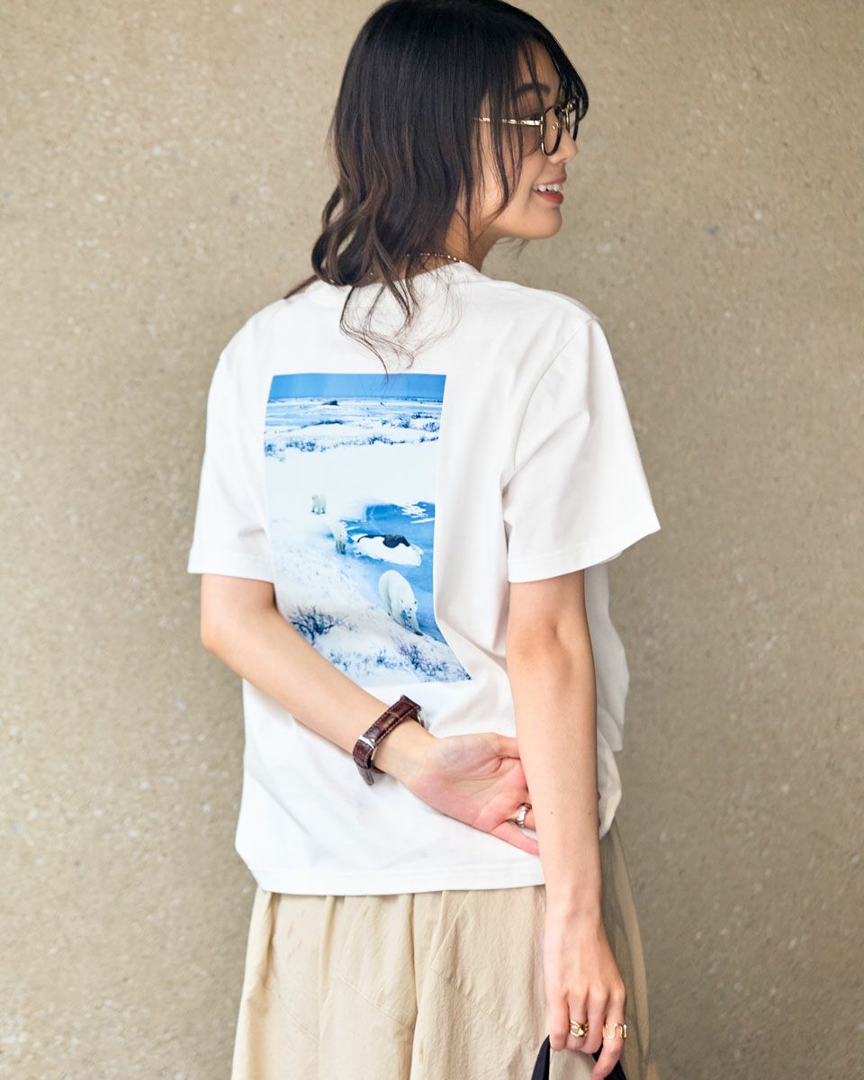 シロクマTシャツ