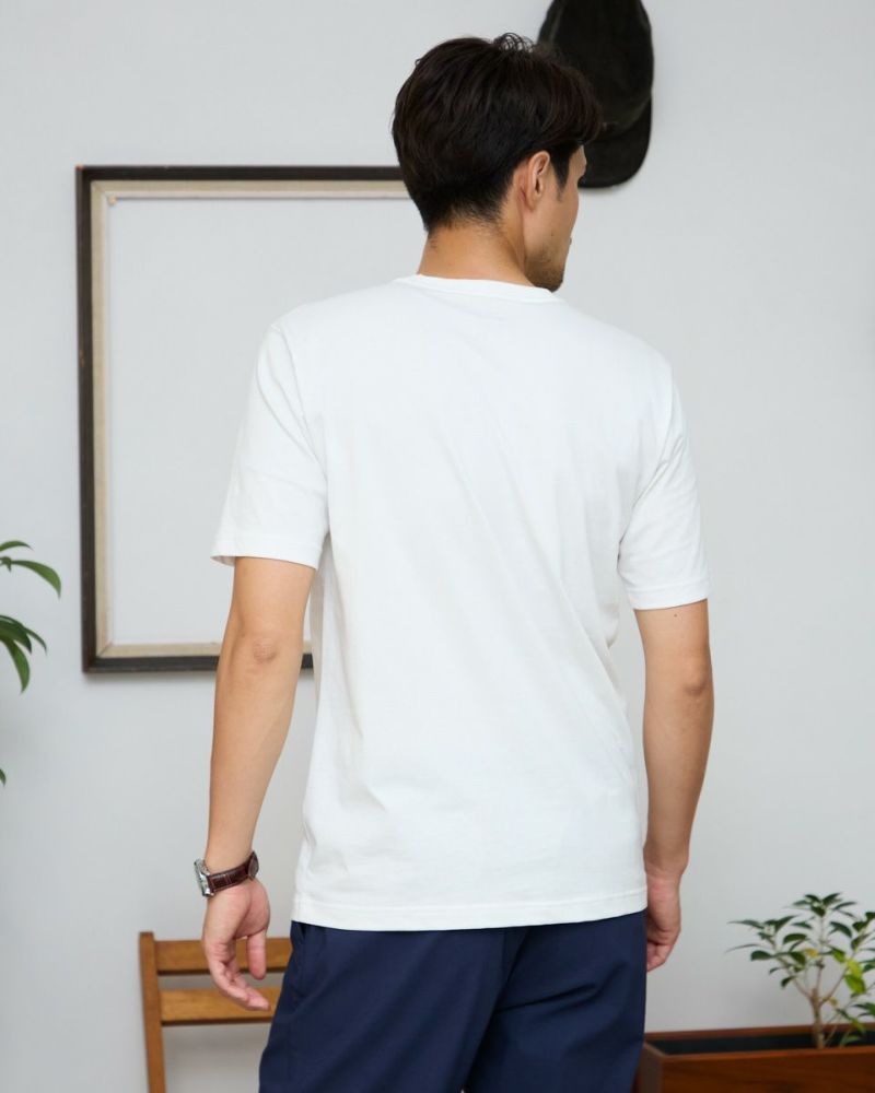 国旗ベアＴシャツ