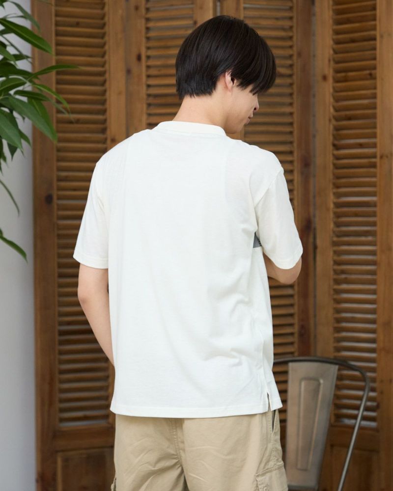 切替Tシャツ