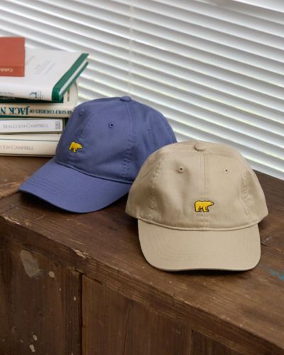 【希少】GOLDENCAPアコーディオン ゴールデンカップ ACAPUlCO GOLD(アカプルコゴールド) キャップ QUALITY CONTROL