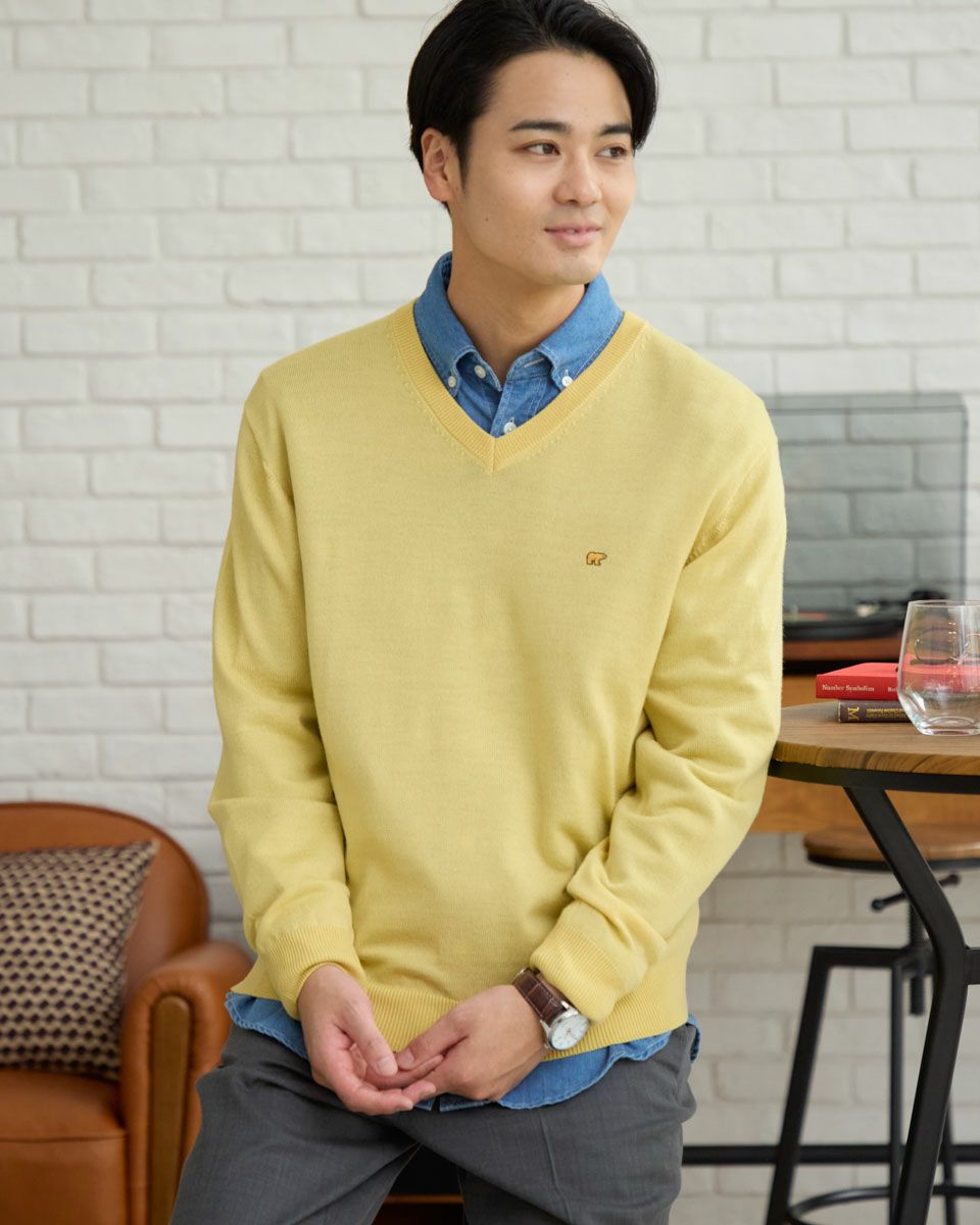 無地Vネックニット